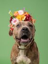 Betty Lou photo 1