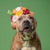 Betty Lou photo 2