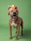 Betty Lou photo 3