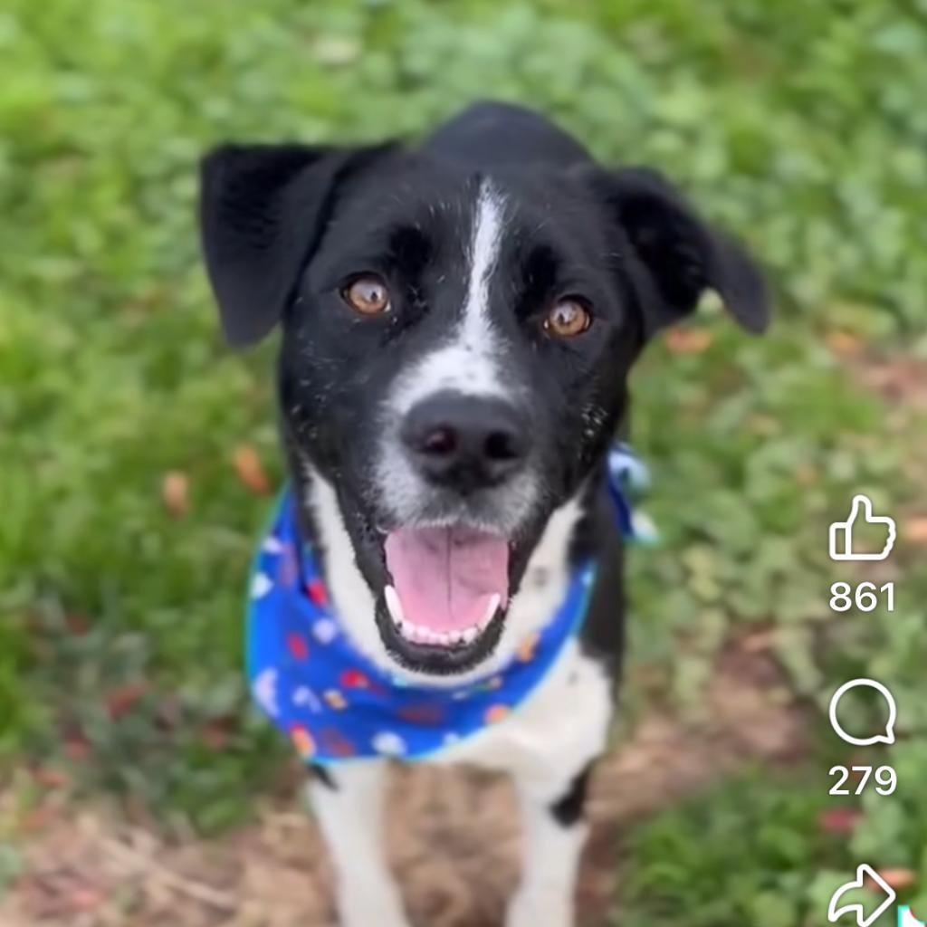 Tucker