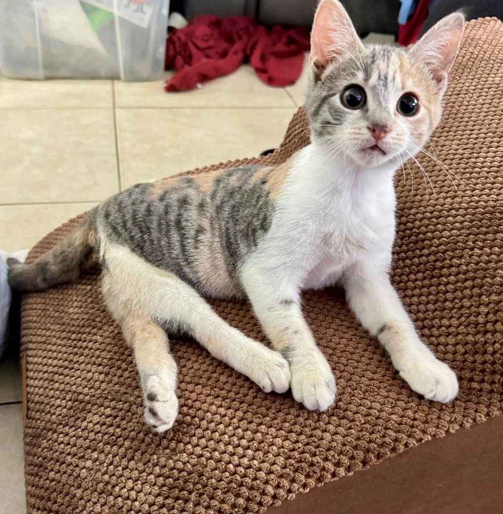 LUCY