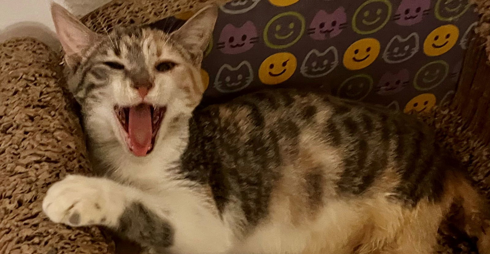 LUCY