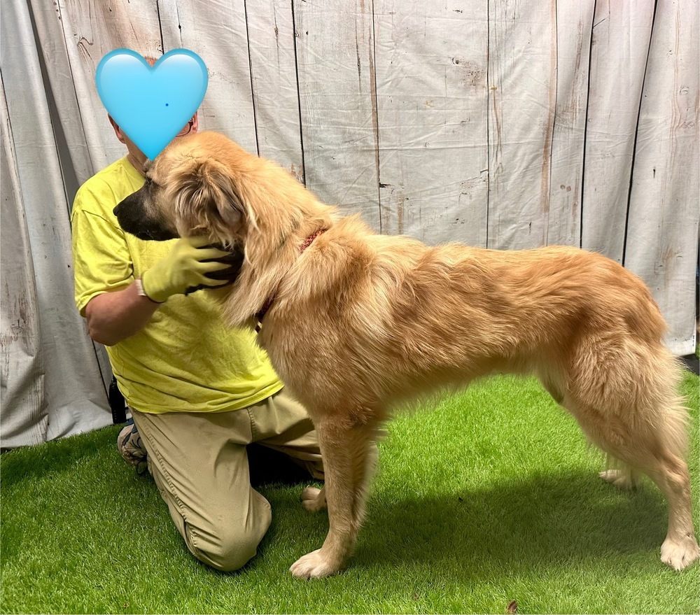 Duke