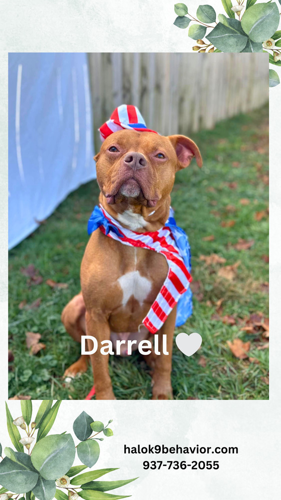 Darrell