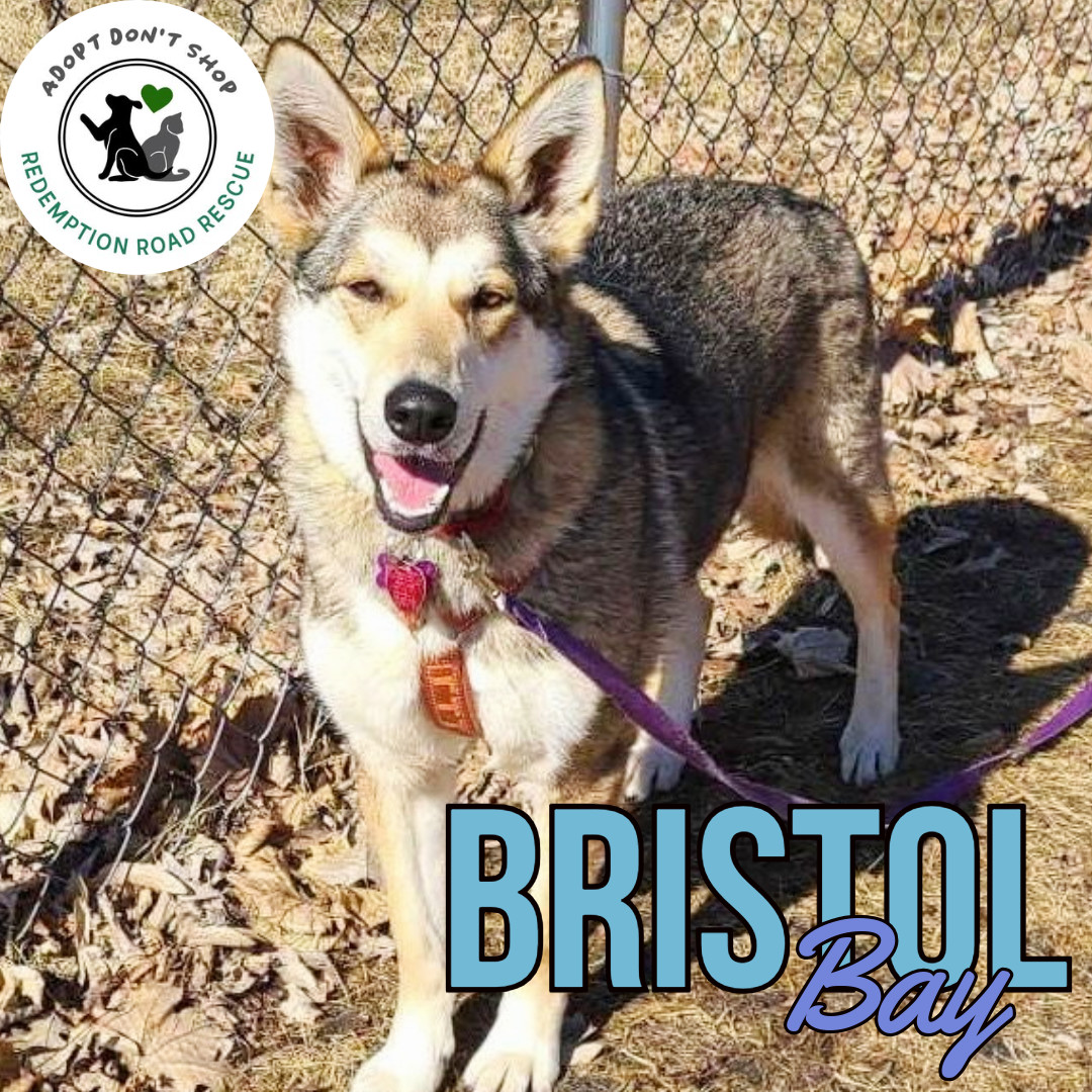Bristol Bay