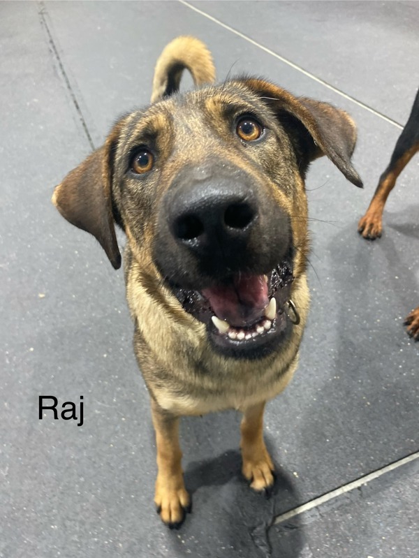 Raj