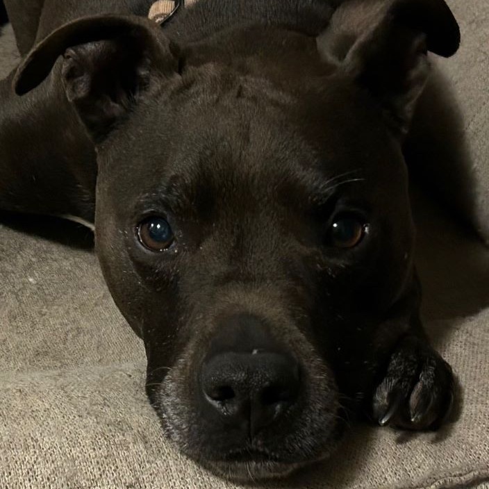 Carter