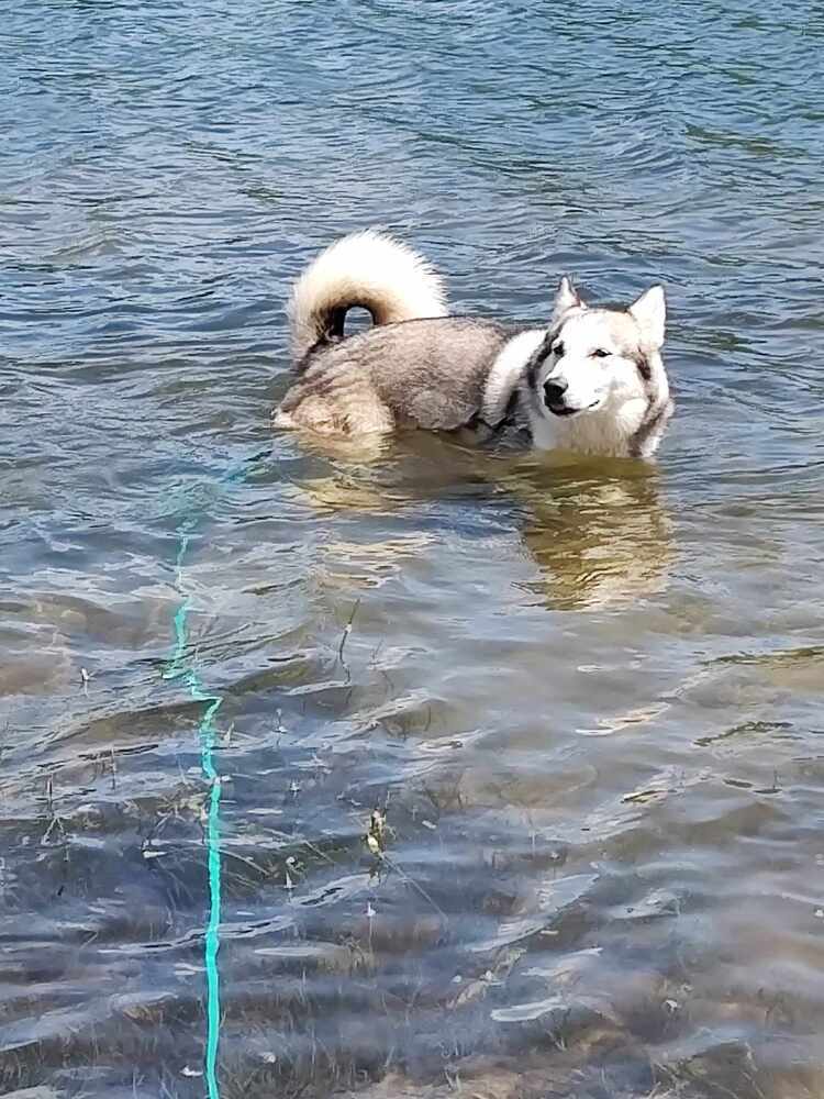 AC Tilly