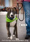 Tank photo 4
