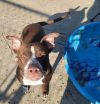 AC Annie photo 5