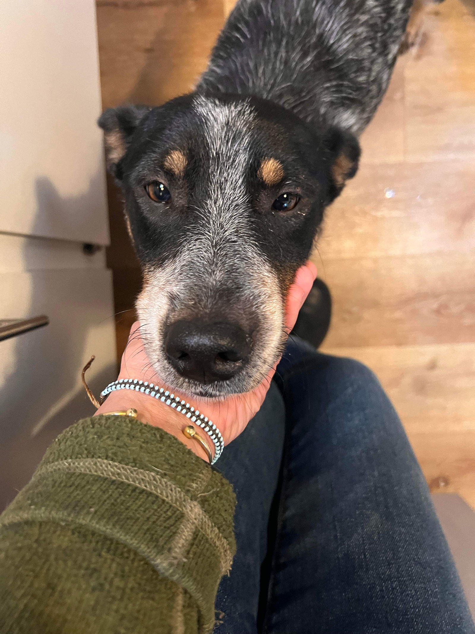 Franny - URGENT!!