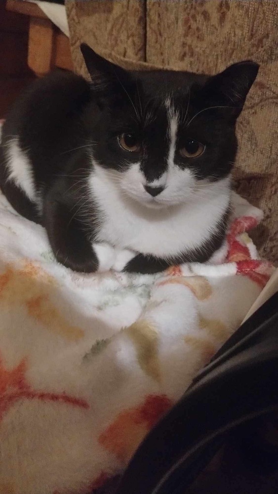 Pixie (aka Mama Pixie)