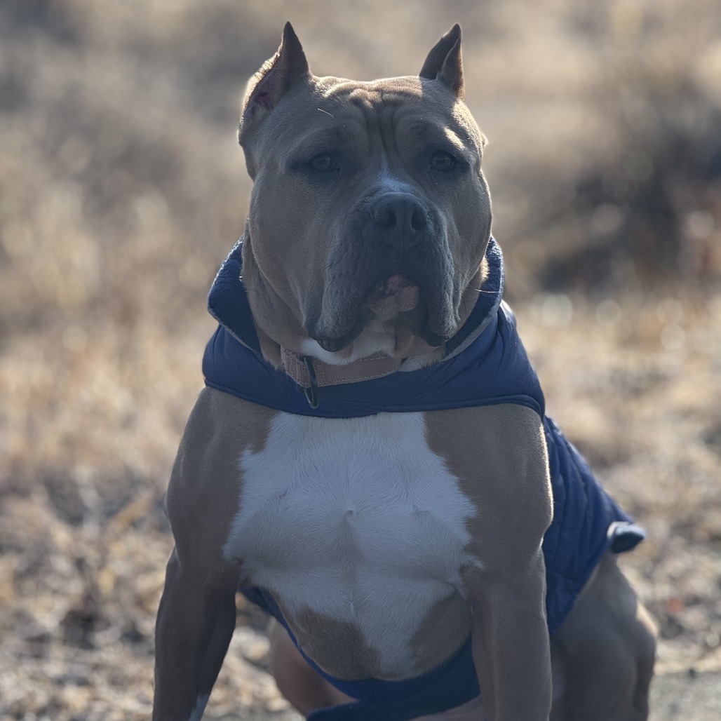Melba
