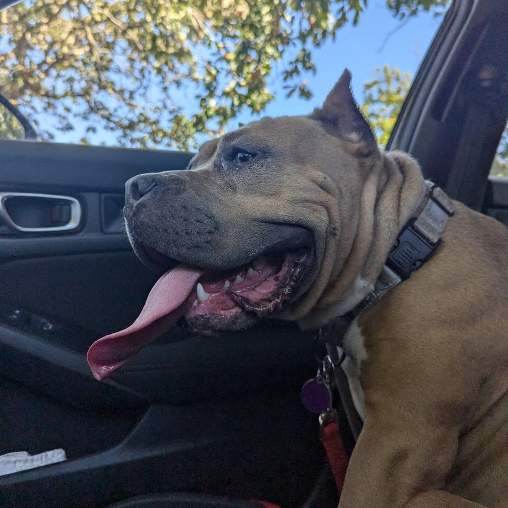 Melba
