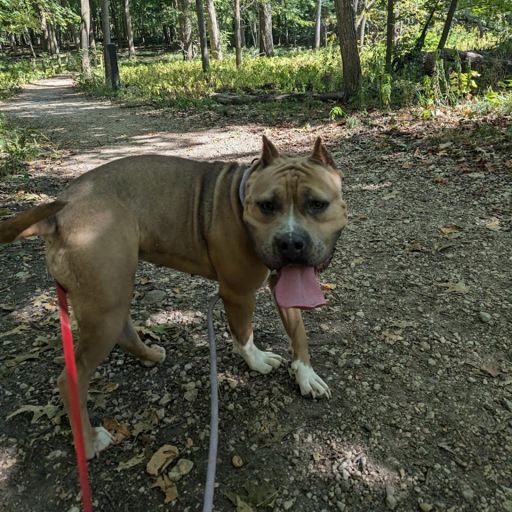 Melba