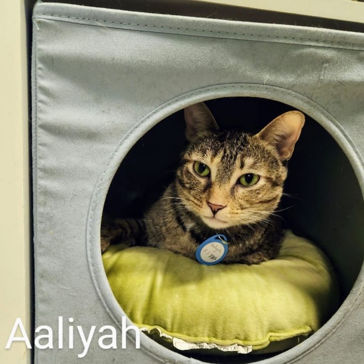 Aaliyah 3