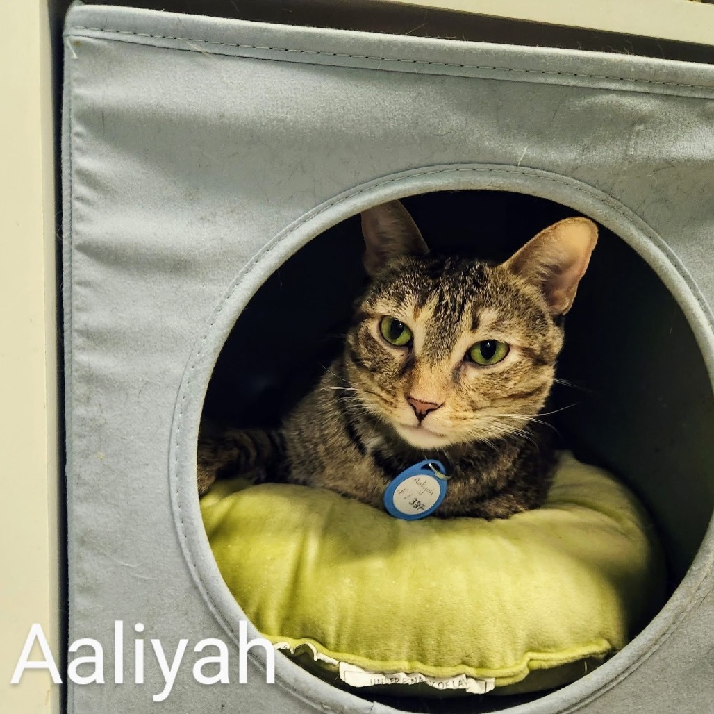 Aaliyah
