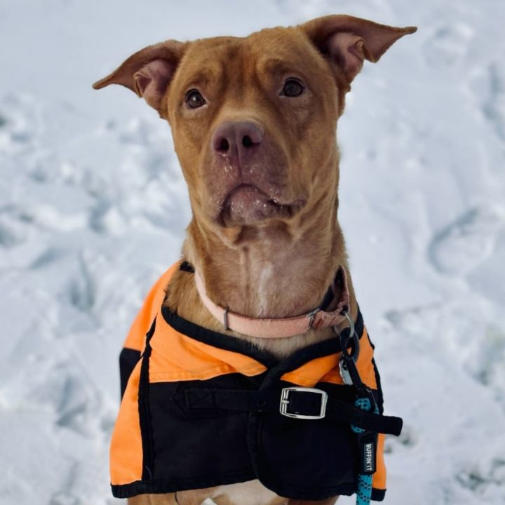 Olaf 3