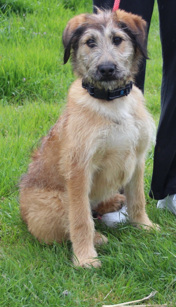 Oscar 1