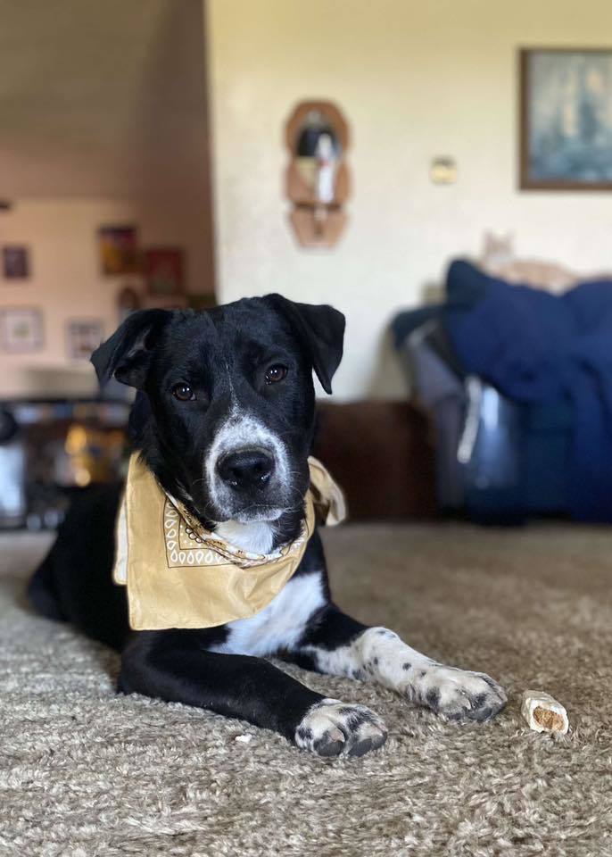 Cosmo