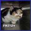 Fritzy photo 2