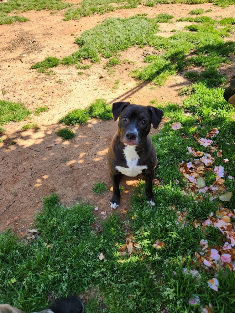 Milo