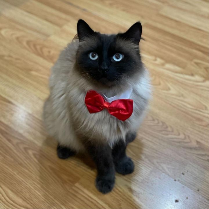 Tuna 2