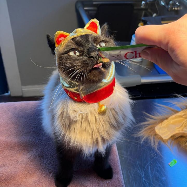 Tuna 5