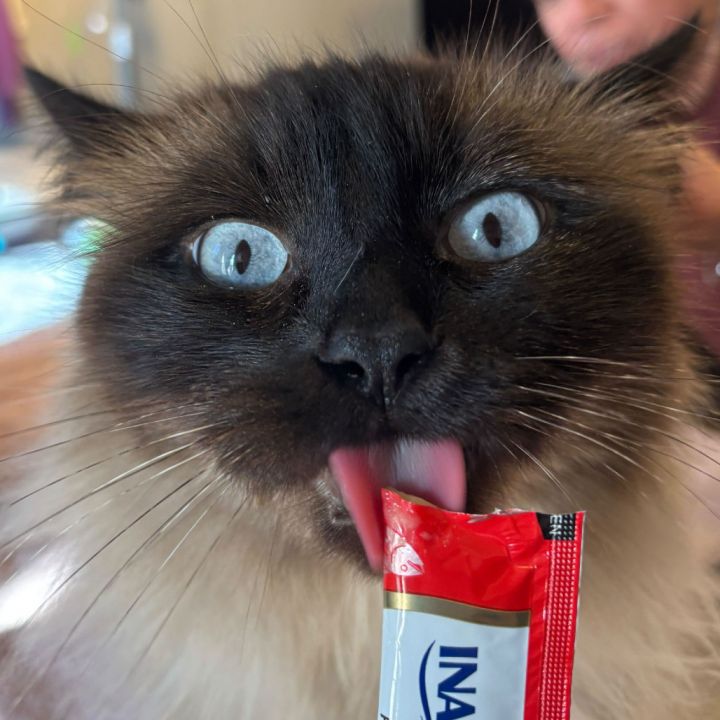 Tuna 6