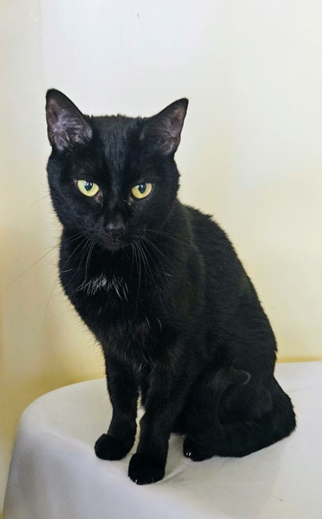 Ebony (Little girl)