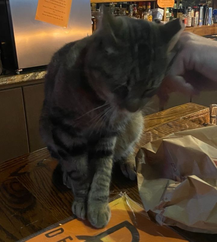 Guinness 2