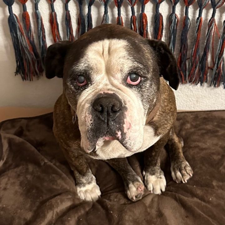 Ida Mae 1