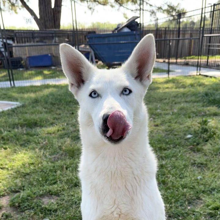 Ellie 1