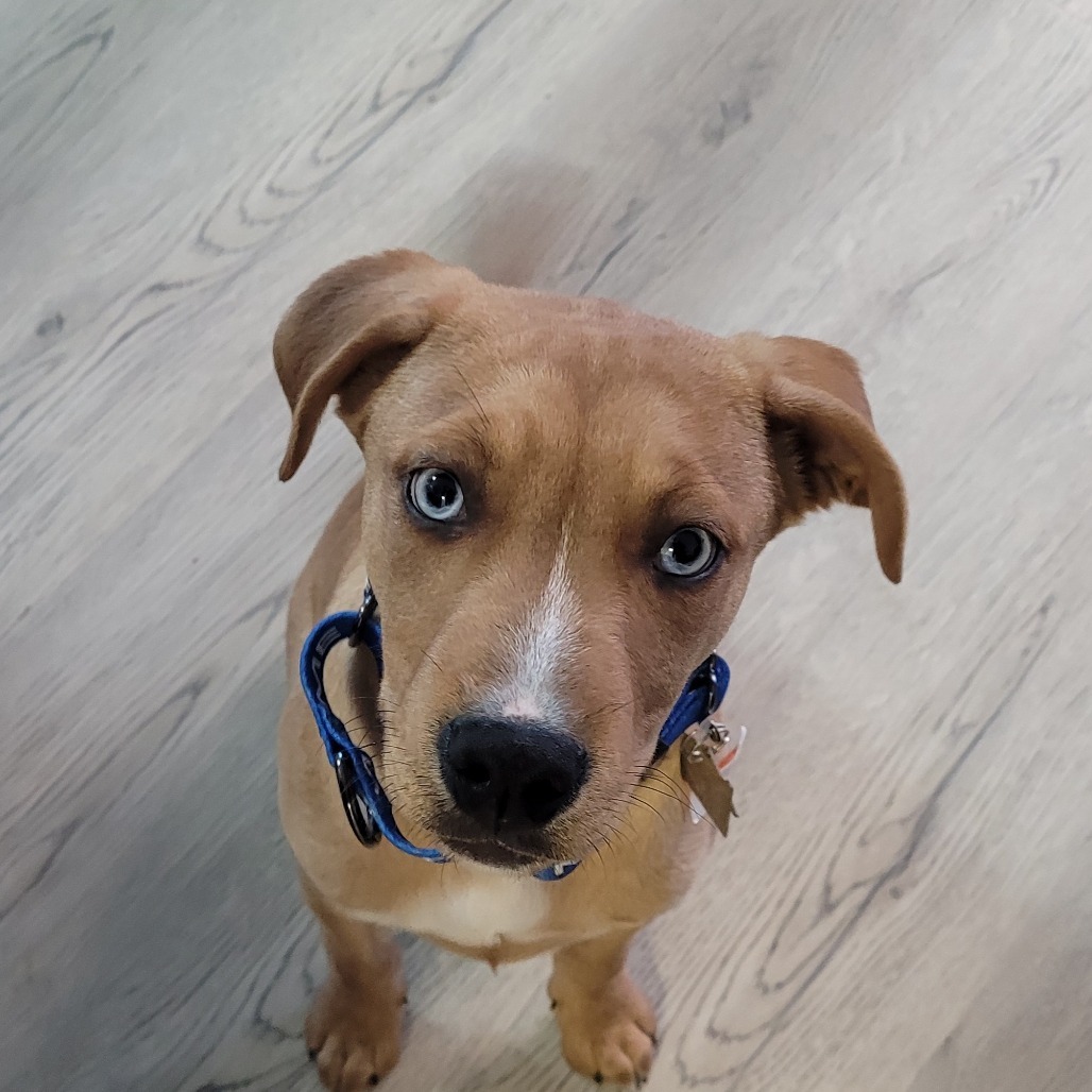 Jax