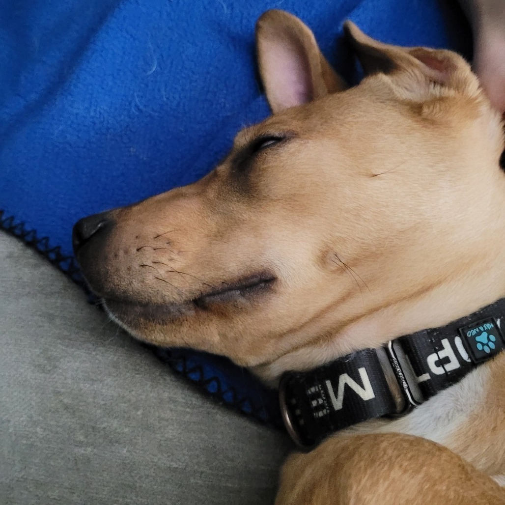Jax