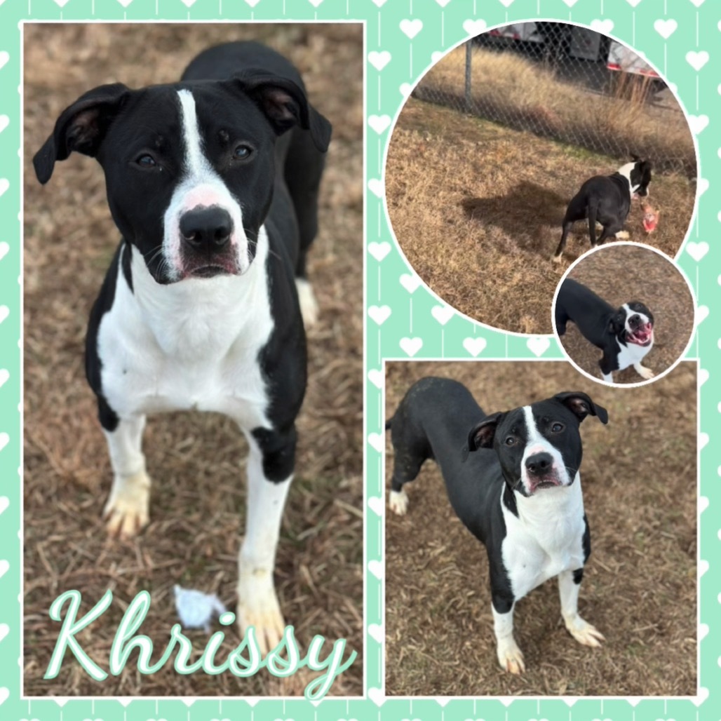 Khrissy