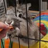 Clover Grey-Foster photo 4