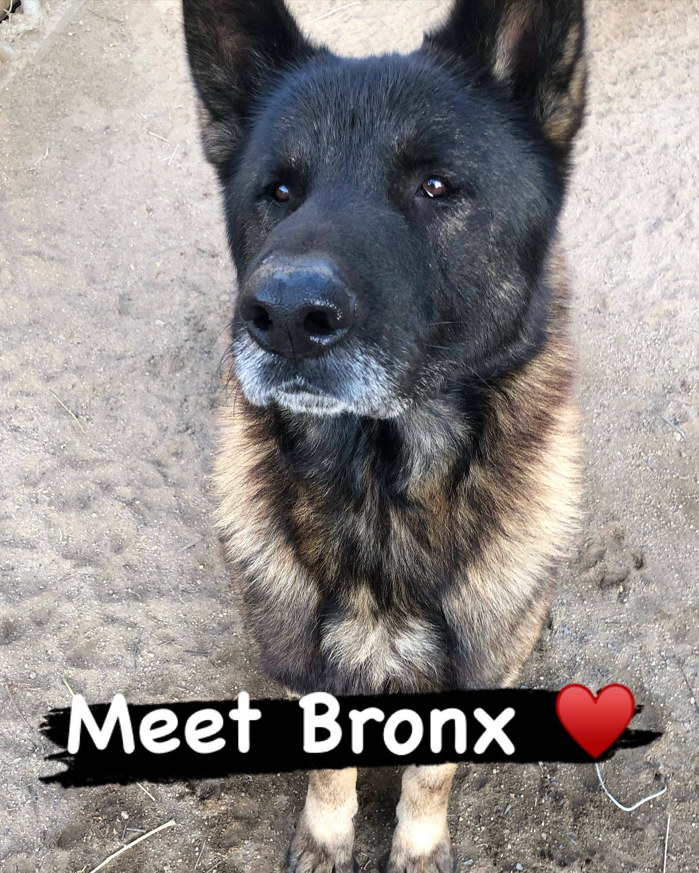 Bronx