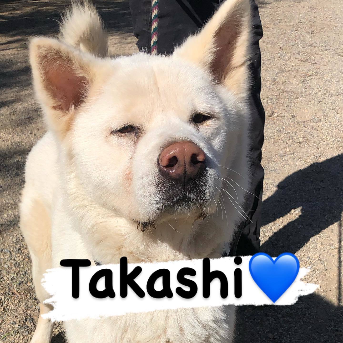 Takashi
