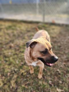 Skye
