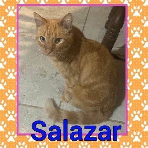 Salazar