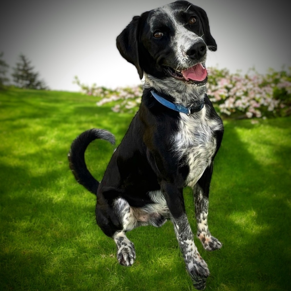 Roscoe