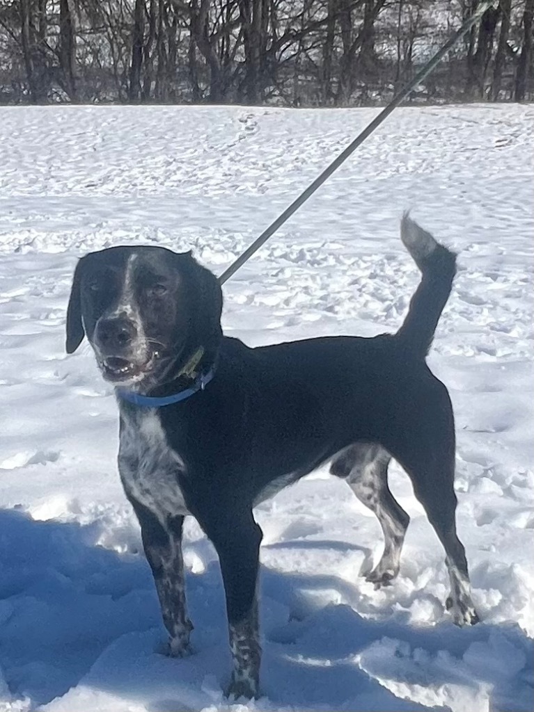Roscoe