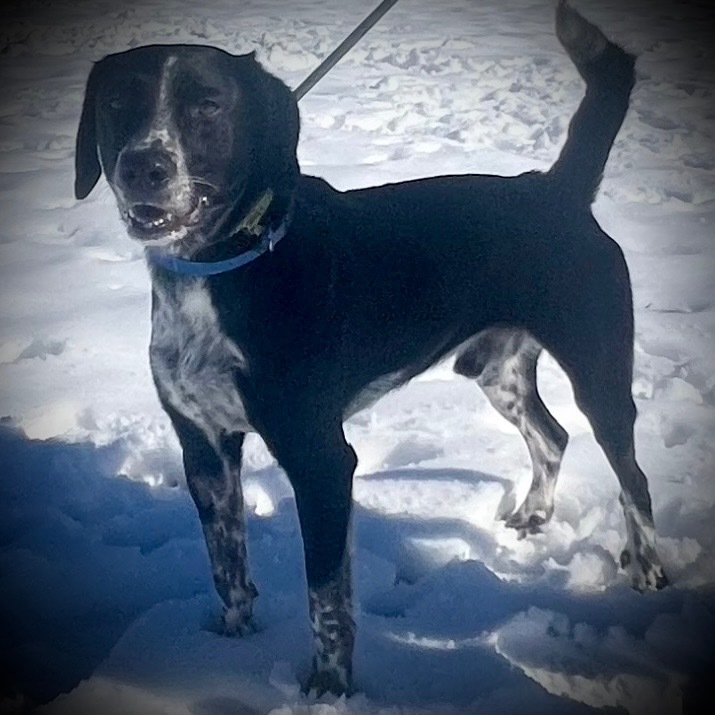 Roscoe