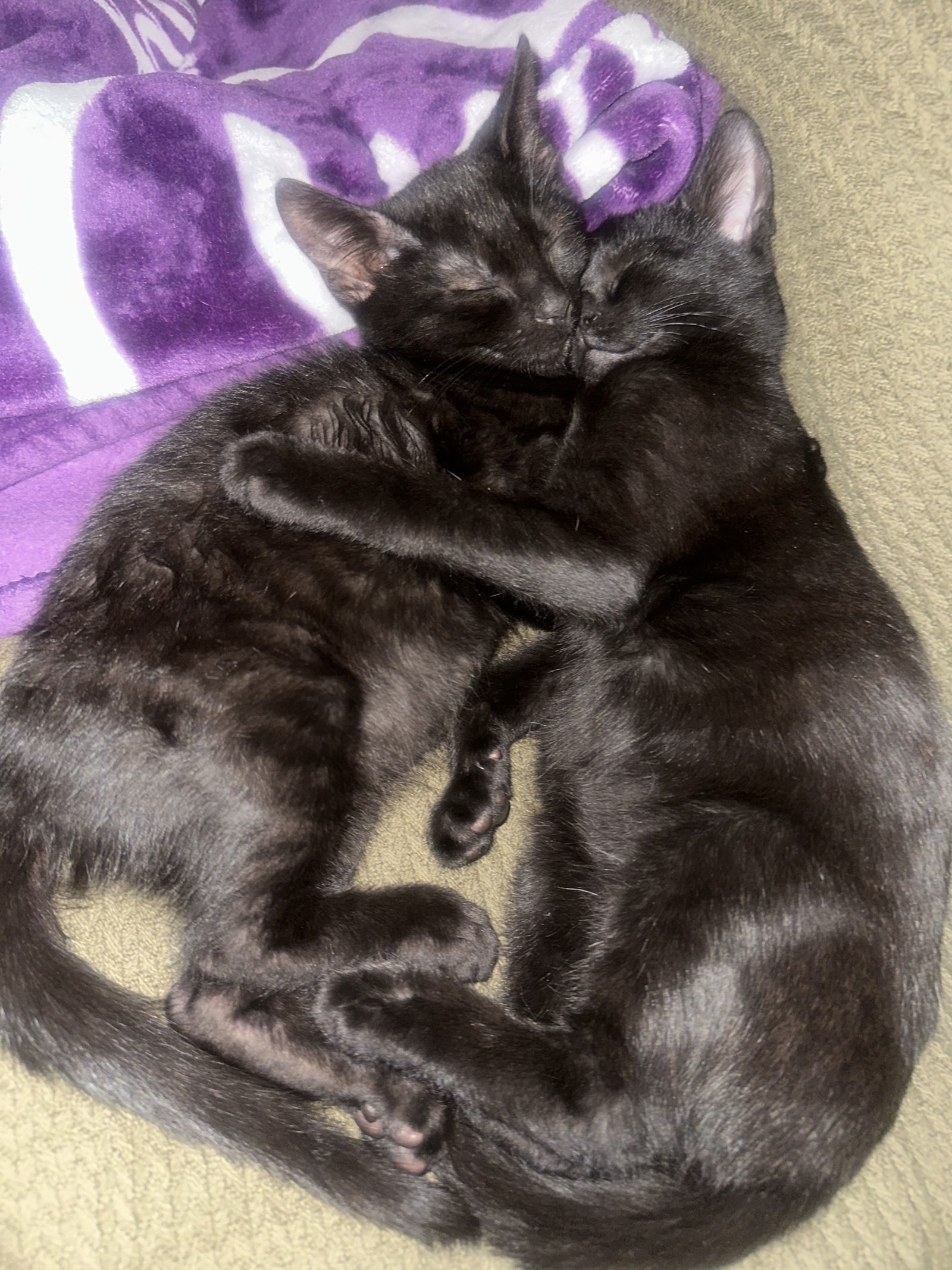 Onyx and Coal