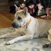 Sherry photo 5