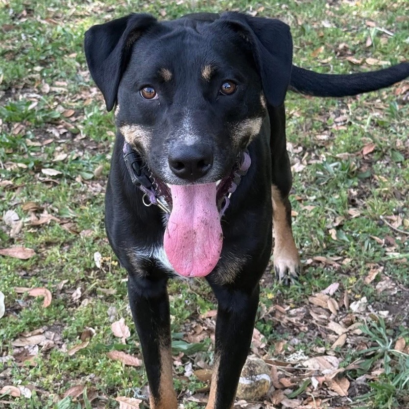 Xena