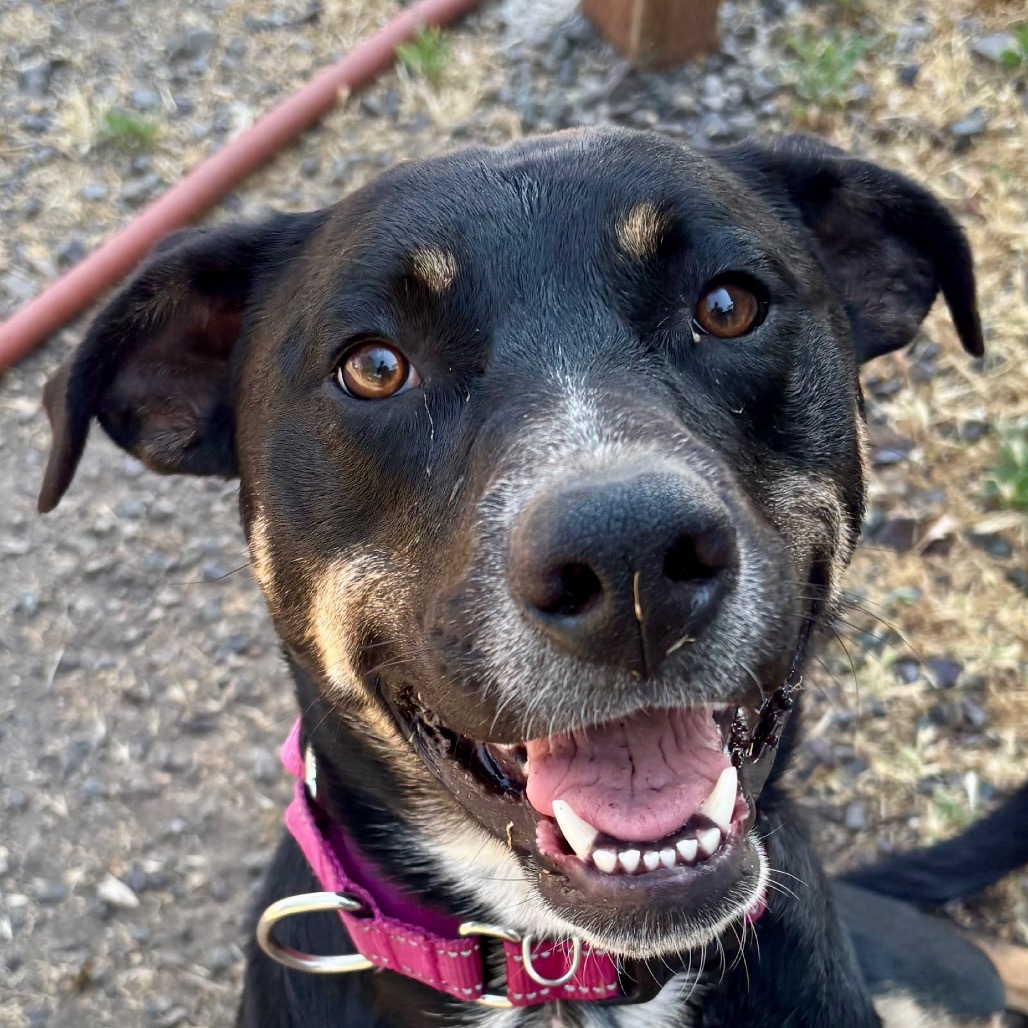 Xena