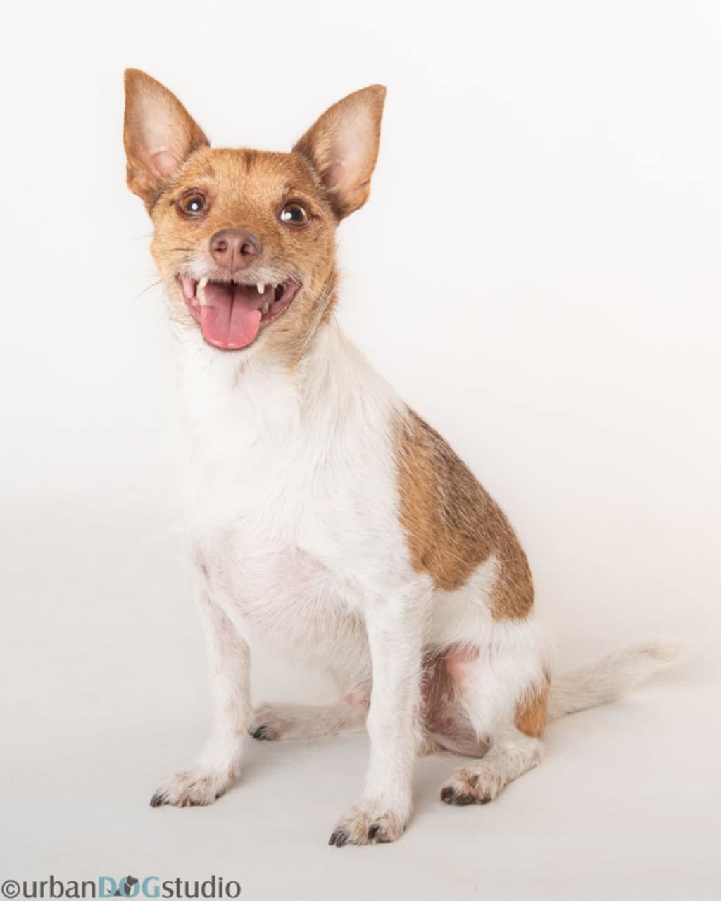 Frankie - M