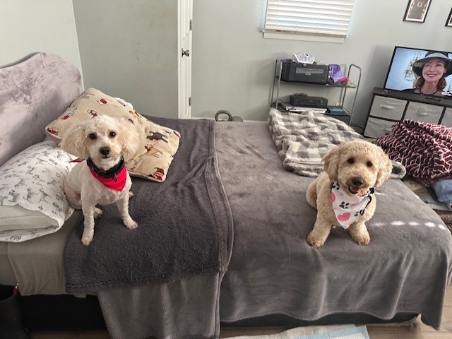 Fred and Ethel - Must be adopted together 2
